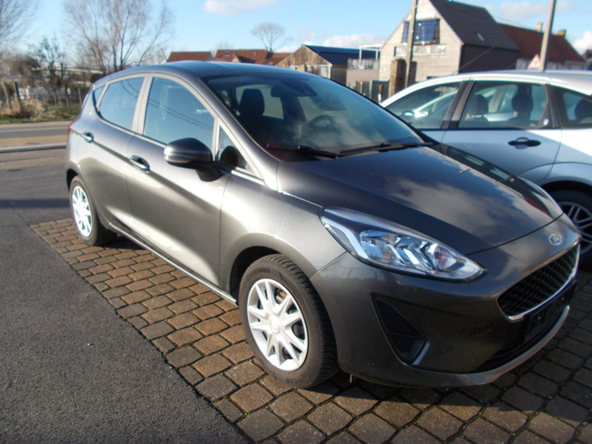 Ford Fiesta magnetic - Boncquet